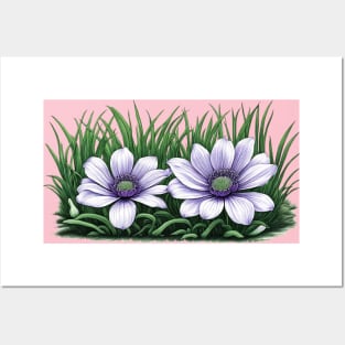 Anemone Flowers Posters and Art